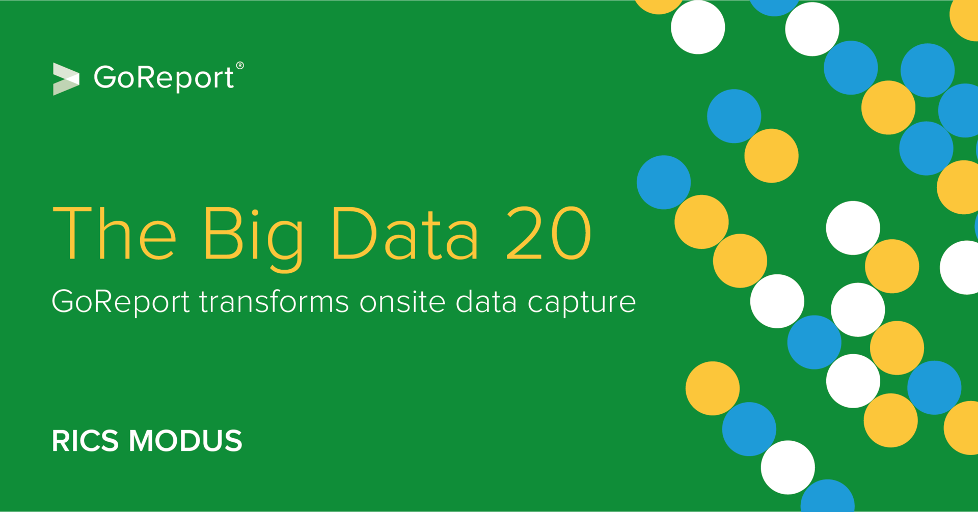 RICS Modus: The Big Data 20