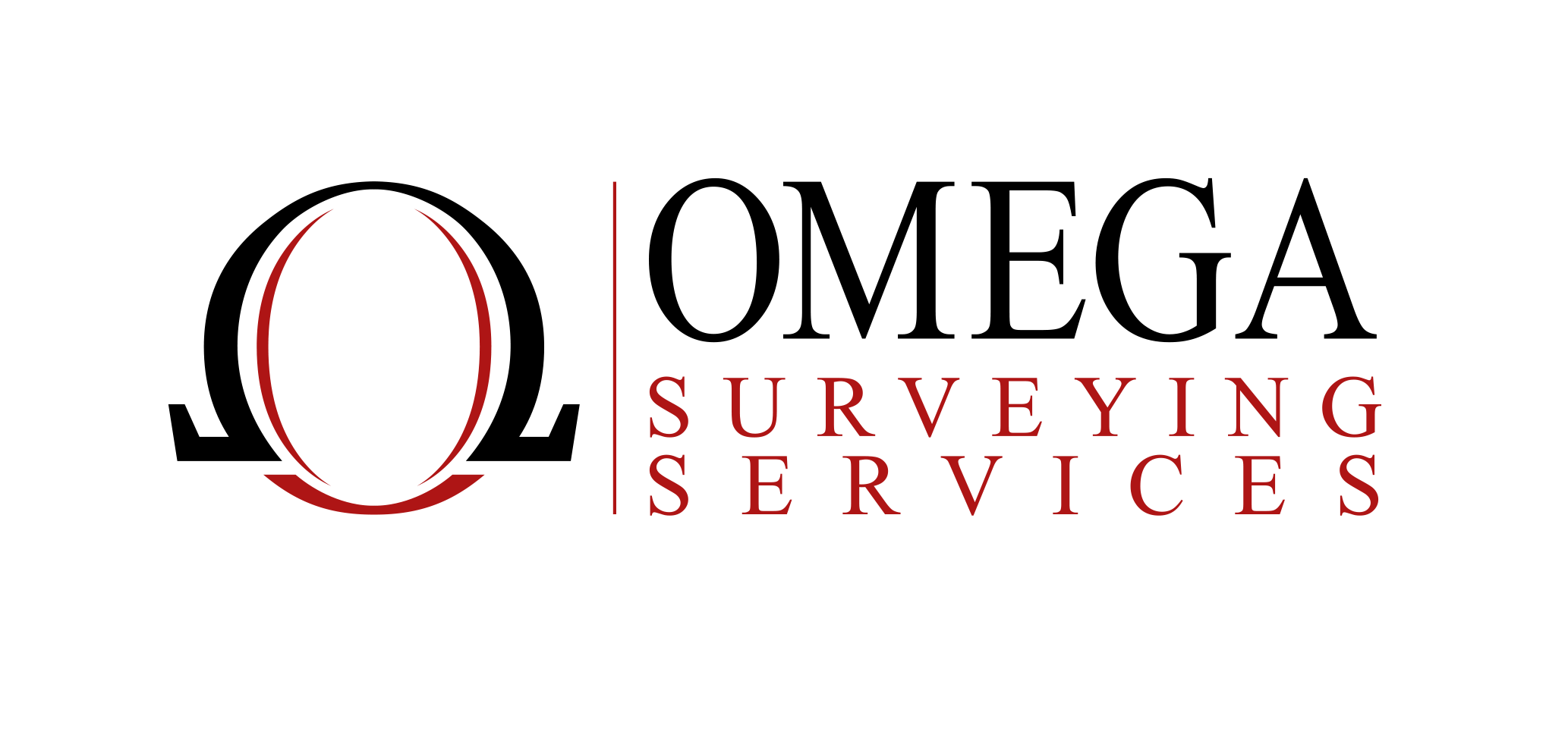 Omega Surveying Services: Tailored software up and running in days