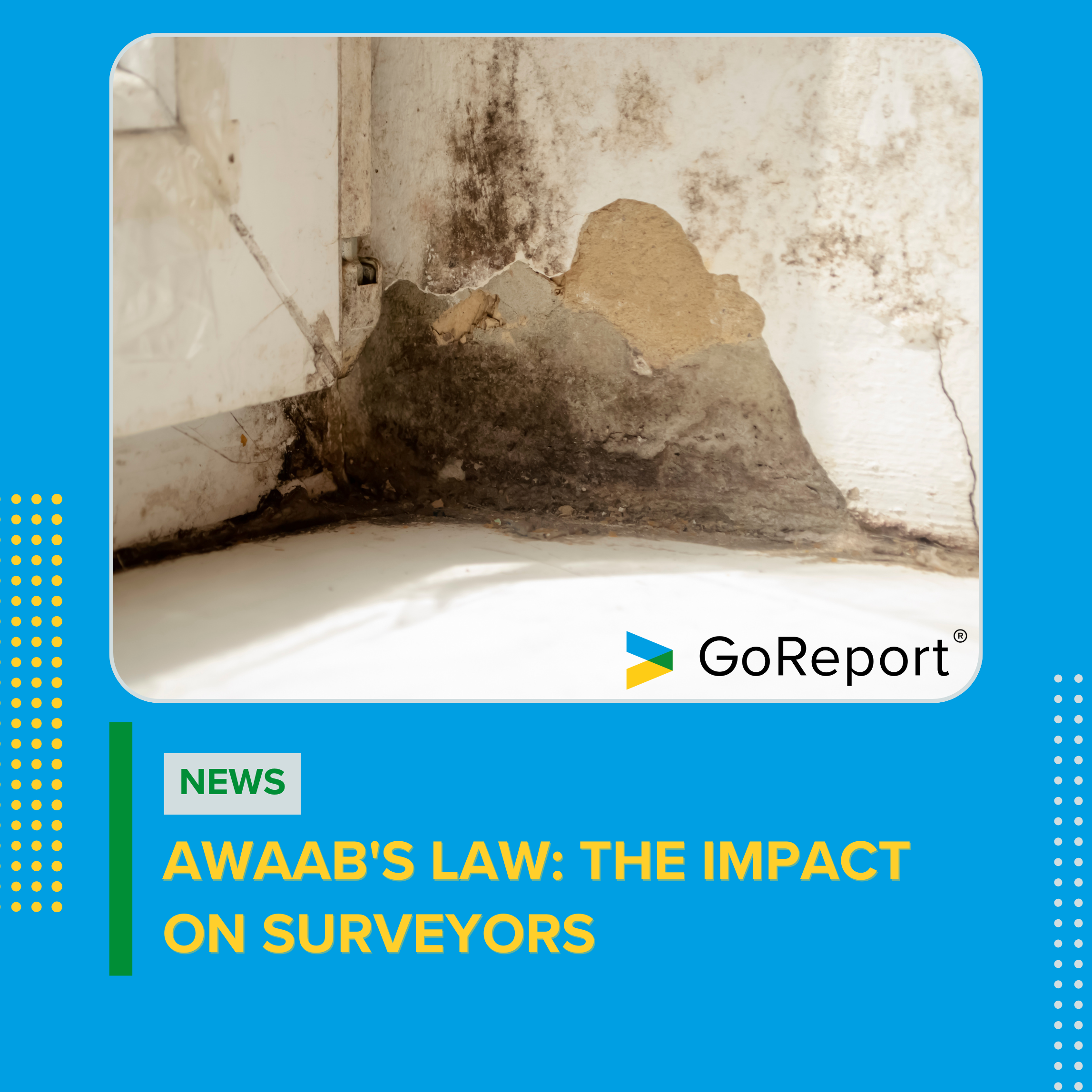 Awaab's Law: The Impact on Surveyors