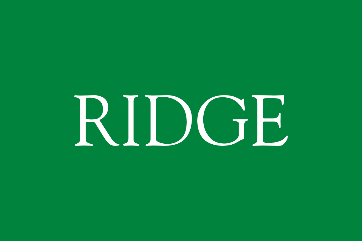 Ridge and Partners LLP: Streamlining Large-Scale Surveys