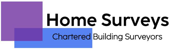 Home Surveys’ Digital Transformation with GoReport