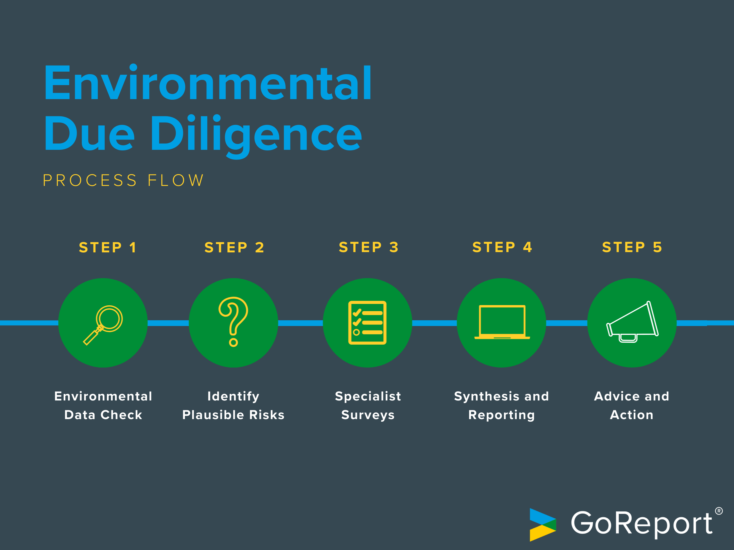 Environmental Due Diligence Process Flow